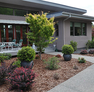 Back Yards