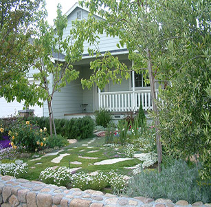 Courtyard Garden