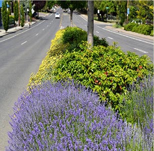 Ashland Public Spaces