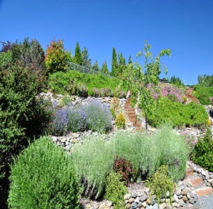 Grand Terrace Garden